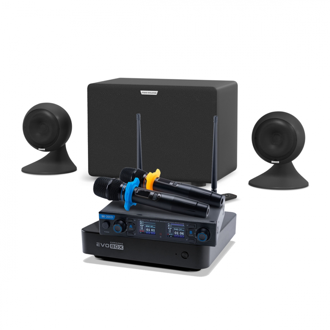 караоке-комплект EVOBOX + EvoSound Sphere 2.1 в Осташкове