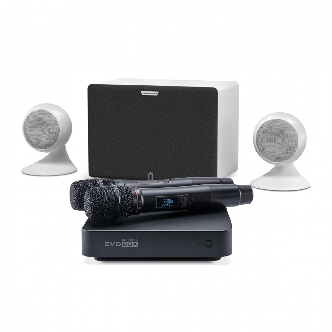 караоке-комплект EVOBOX Classic + EvoSound Sphere 2.1 в Осташкове