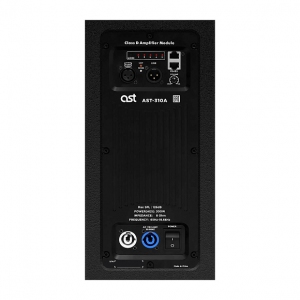 Активная акустическая система AST-310A в Осташкове