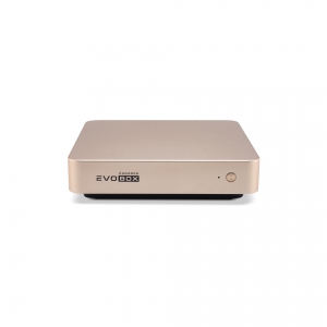 EVOBOX с микрофонами в Осташкове
